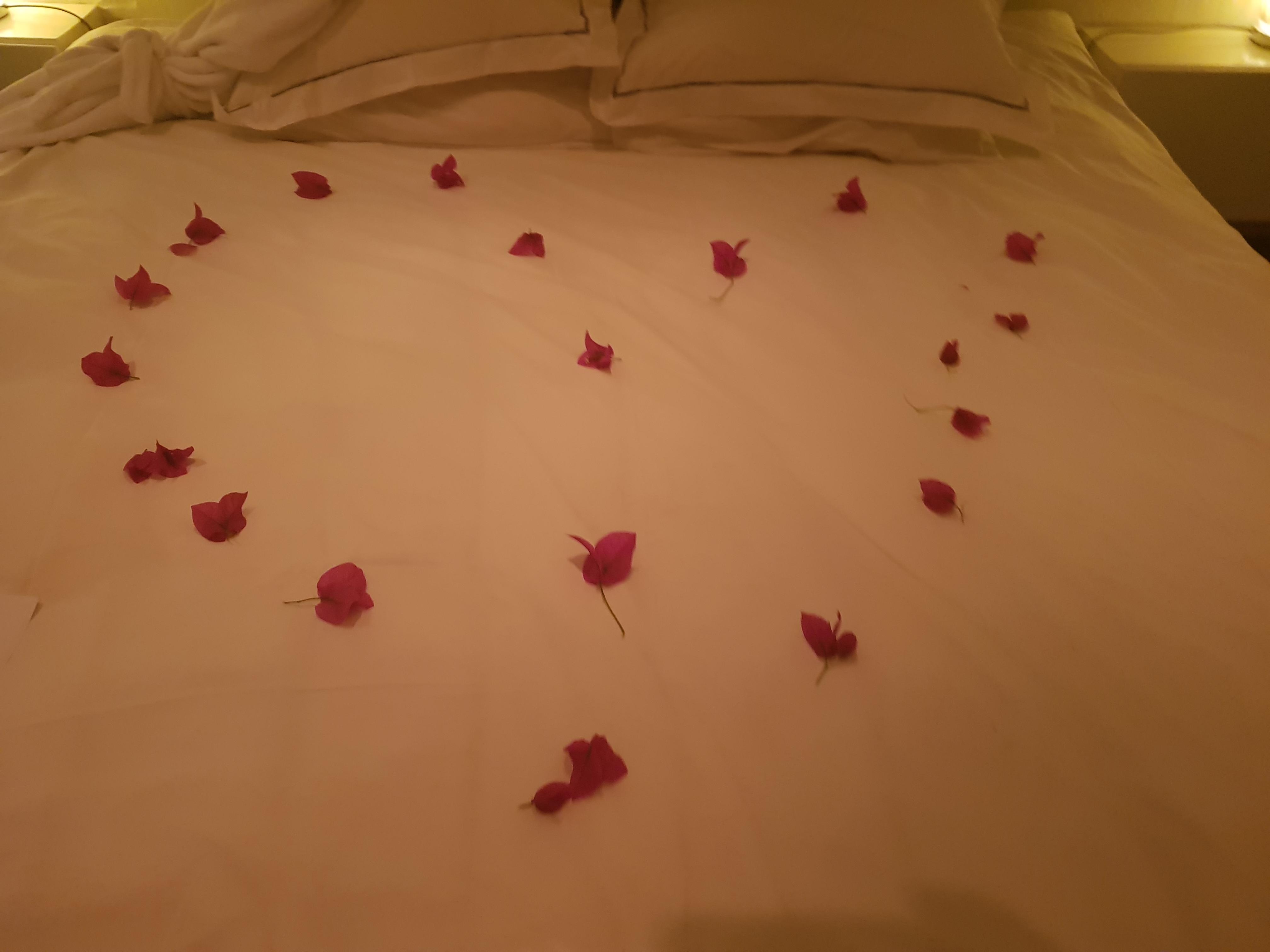 De Kloof Heritage Estate And Wellness 5*