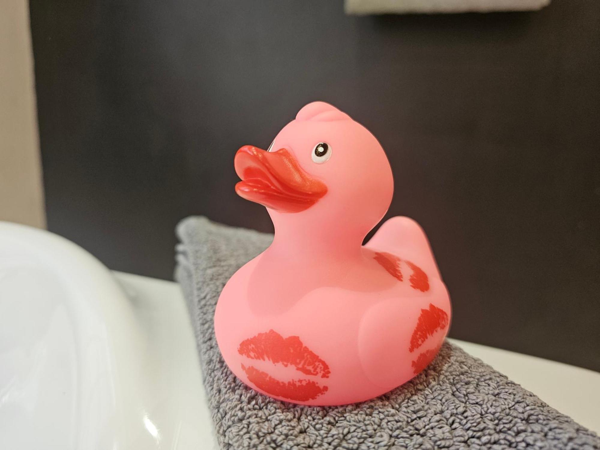 Hotel De Kloof Heritage Estate And Wellness